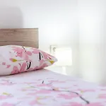 شقة Petra Palit