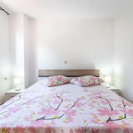 Apartament Petra Palit