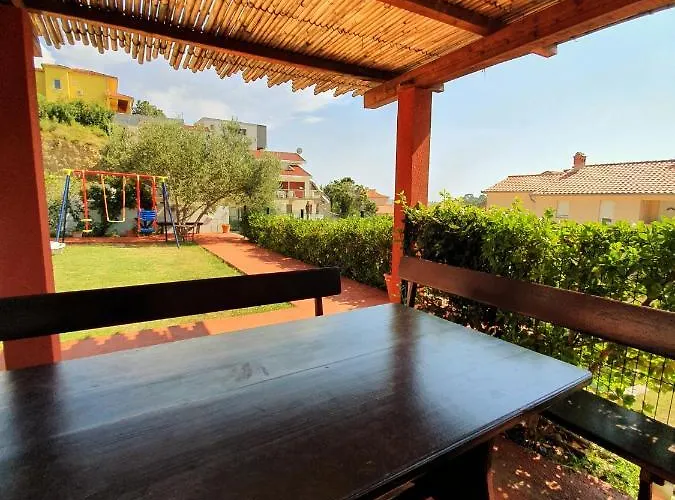 Petra New Translation