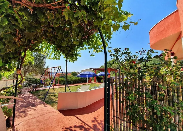 Petra * New Translation