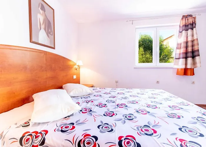 Petra New Translation