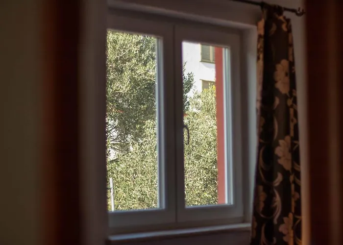 Petra * New Translation