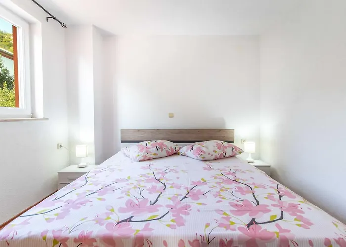 Apartment Petra Palit